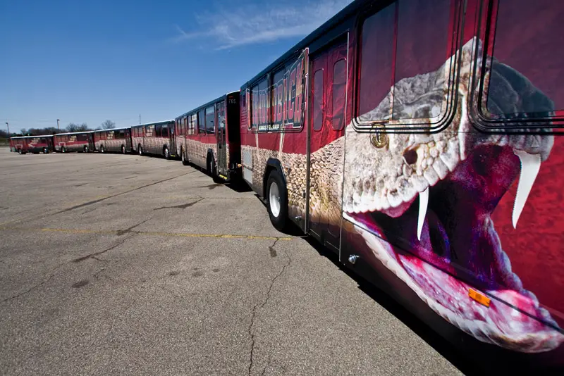 Diamondback Bus Line