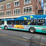 Skyline_Kong_20230503_153247